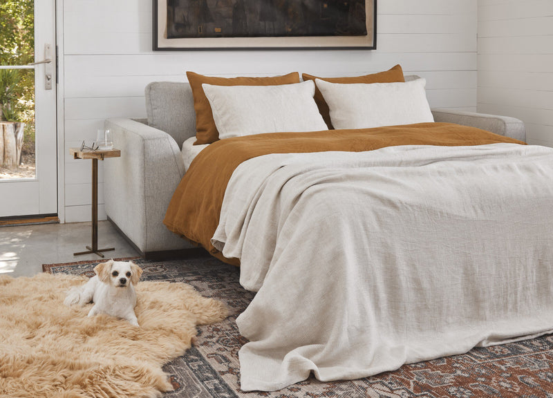 Colt Sleeper Sofa