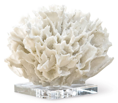 Ribbon Coral (White)