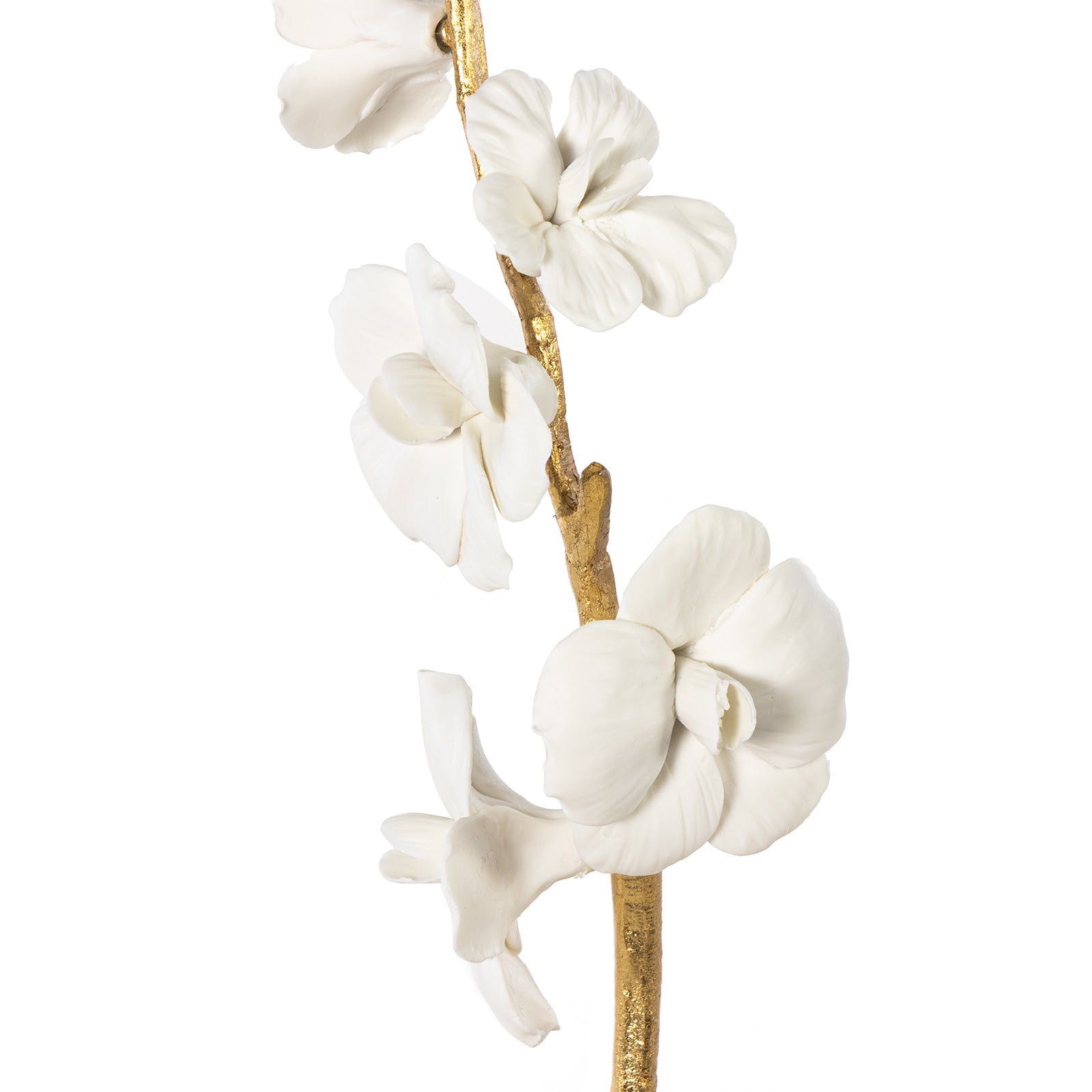 Thylane Accessory 2