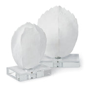 Turtle Shells On Crystal (Set of 2)