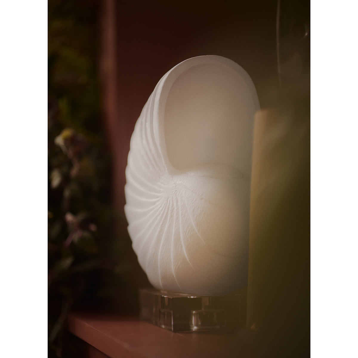 Nautilus Shell Large (White)