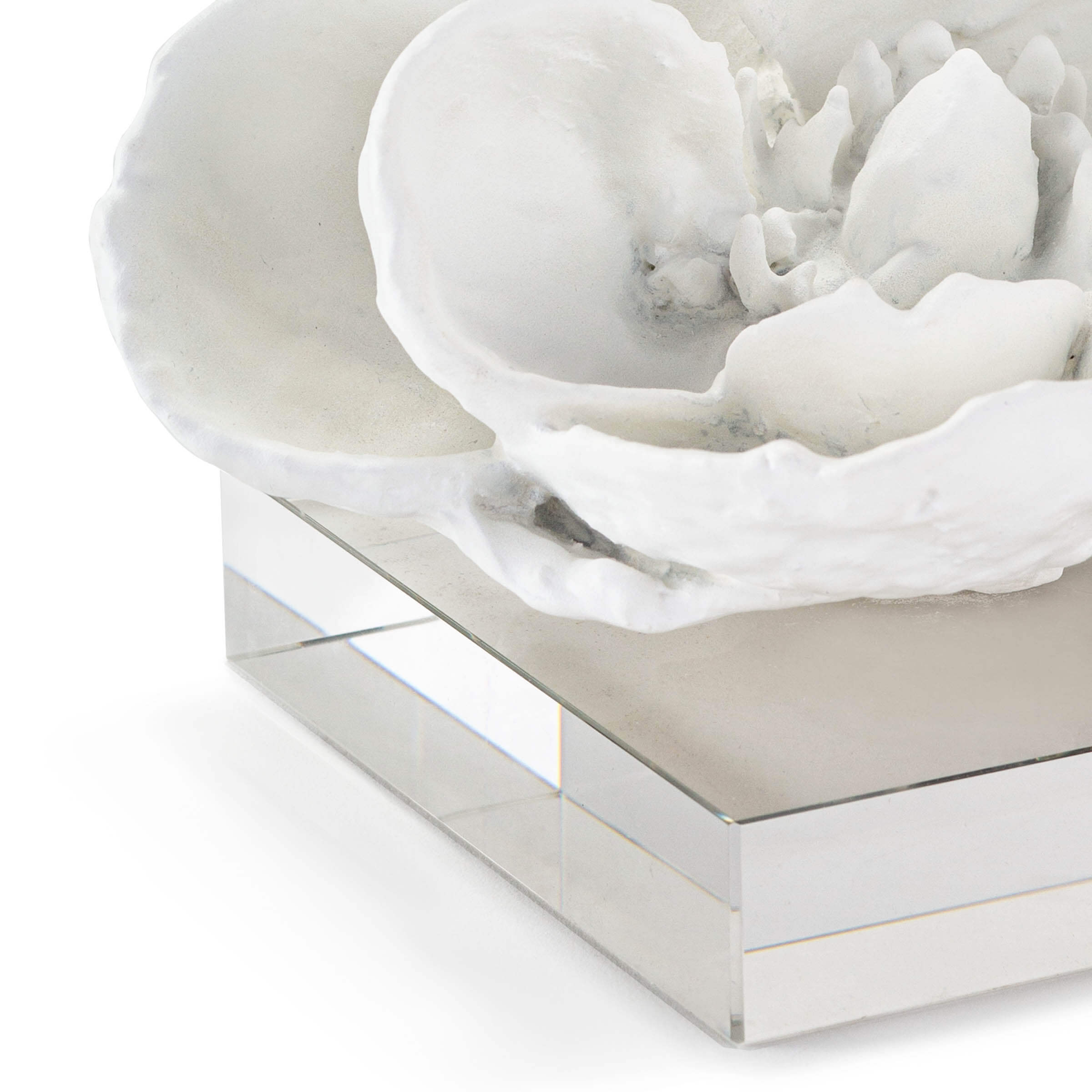 Magnolia Objet (White)