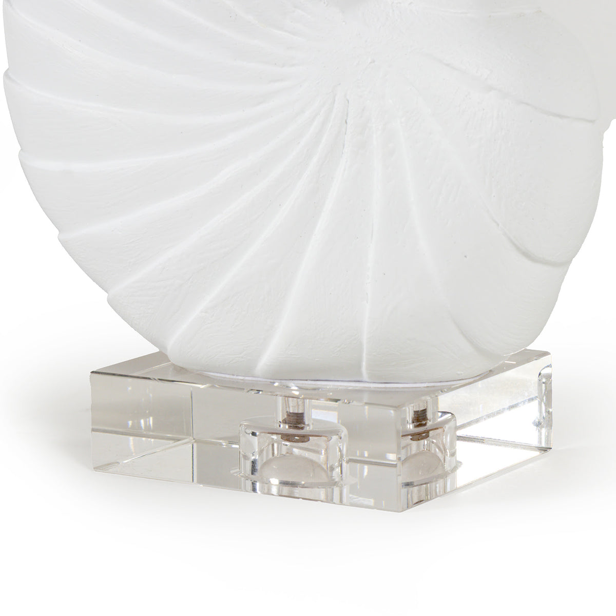 Nautilus Shell Small (White)