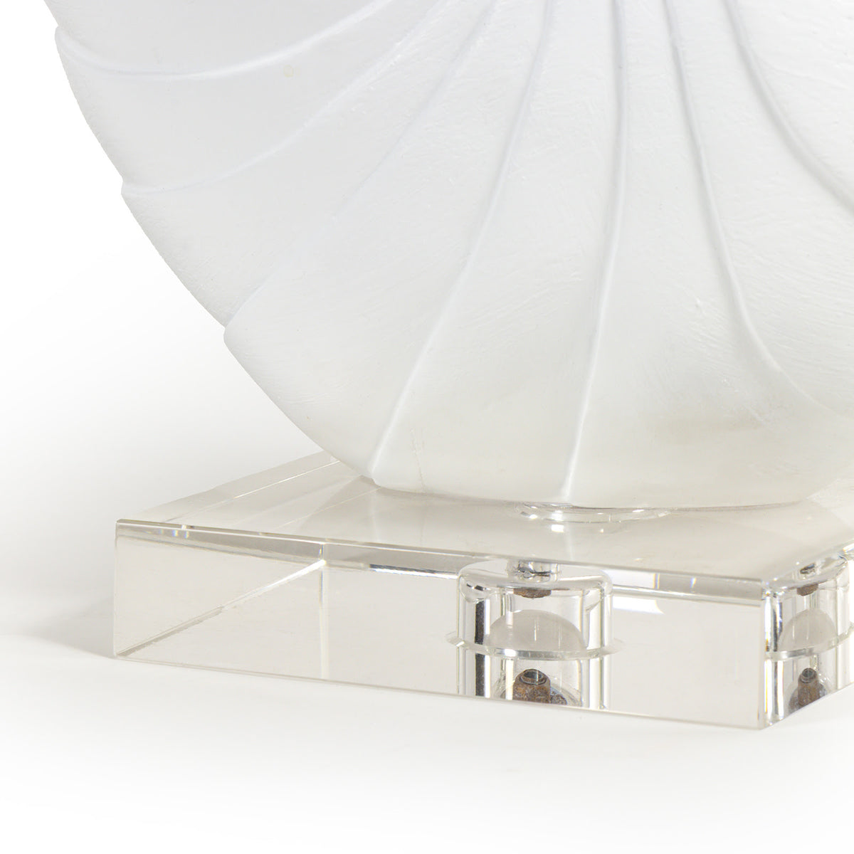 Nautilus Shell Large (White)