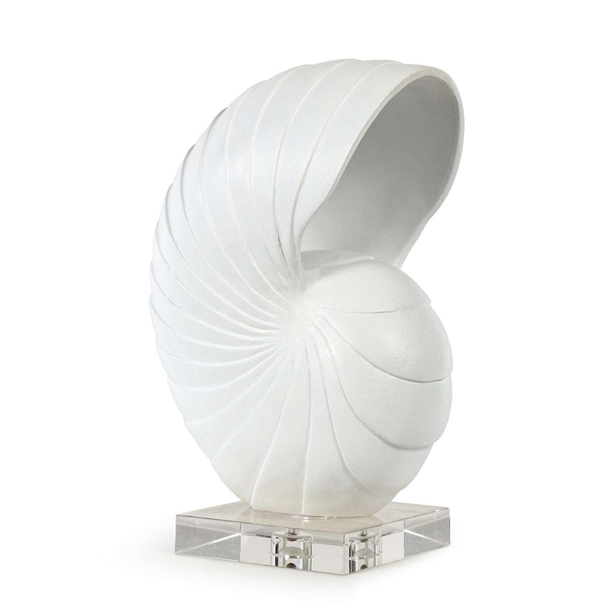 Nautilus Shell Large (White)