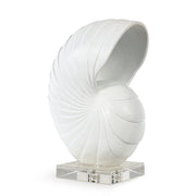 Nautilus Shell Large (White)