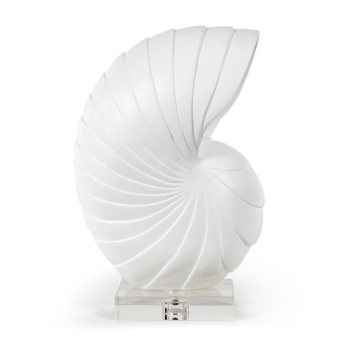Nautilus Shell Large (White)