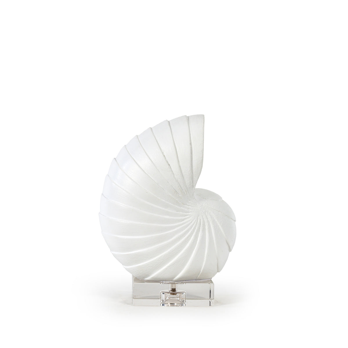 Nautilus Shell Small (White)
